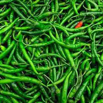 Green Chilli